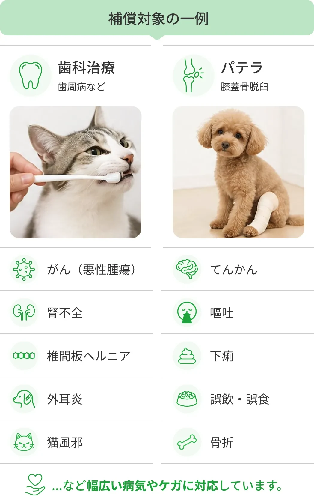 補償対象の一例（がん・てんかん・腎不全・椎間板ヘルニア・歯科治療・パテラ ほか）