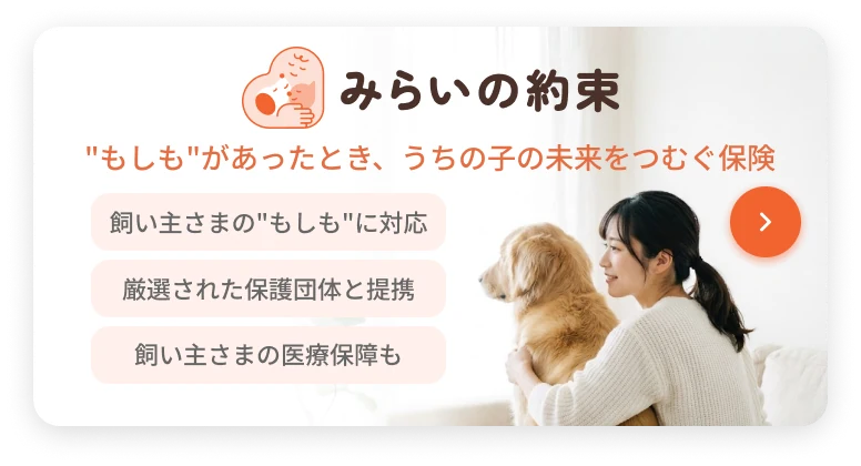 みらいの約束｜“もしも”があったとき、うちの子の未来をつむぐ保険